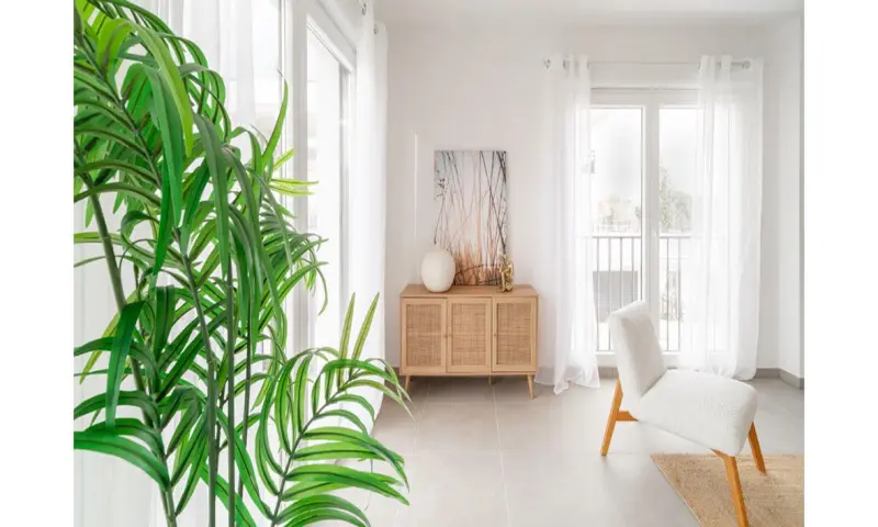 Vue du programme à Montpellier