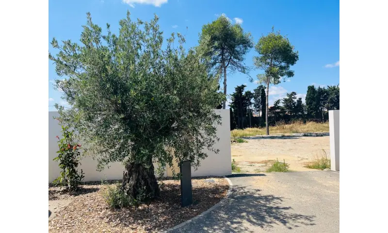 Vue du programme à Perpignan