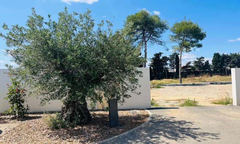 Vue du programme à Perpignan