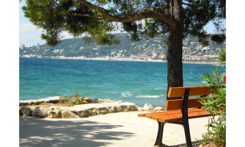 Vue du programme à Antibes
