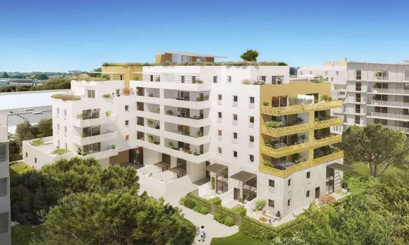 Vue du programme à Montpellier